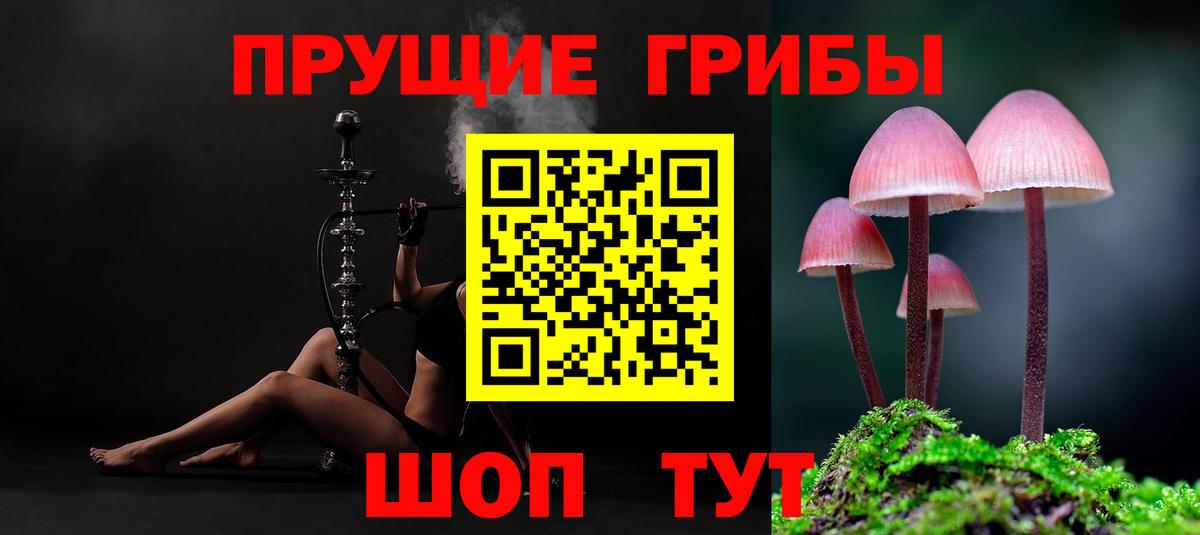 купить закладку  Псилоцибиновые грибы мухоморы  Вход с VPN  Гай  Псилоцибиновые грибы ЛСД 