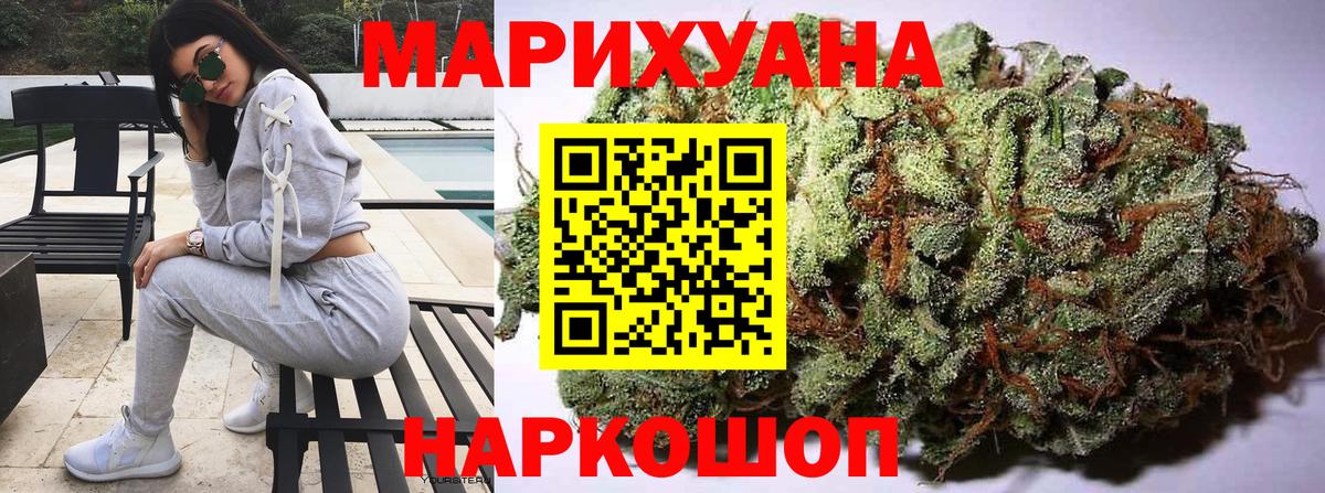 Конопля индика Гай